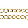 Iron Side Twisted Chains CH-S088-G-LF-1