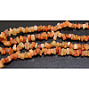 Natural Red Aventurine Chips Beads Strands F021-1