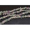 Natural Fluorite Chips Beads Strands F036-1