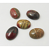 Polychrome Jasper/Picasso Stone/Picasso Jasper Cabochons G-H1529-1-1