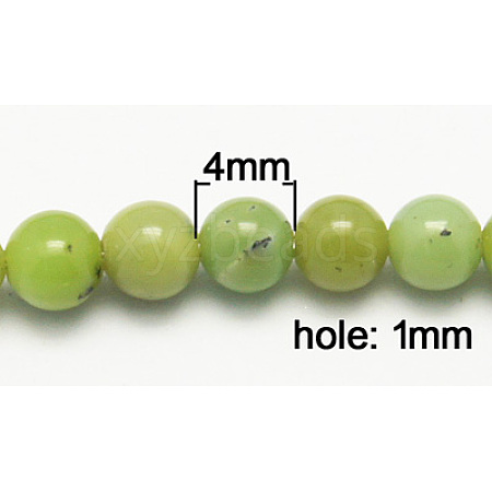 Natural Serpentine Beads Strands G-N166-1-1
