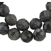 Natural Larvikite Beads Strands G865-102-1