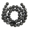 Natural Larvikite Beads Strands G866-102-2