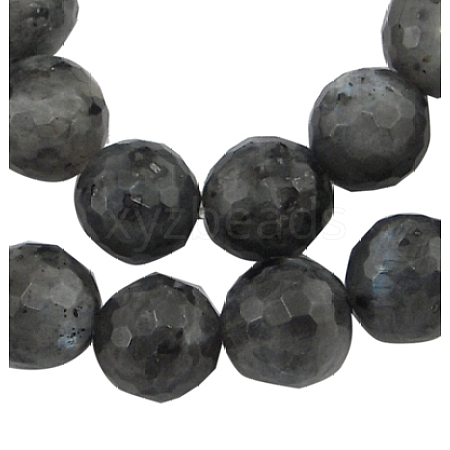 Natural Larvikite Beads Strands G866-102-1