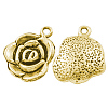 Tibetan Style Alloy Pendants GLF9872Y-1