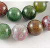 Natural Indian Agate Beads Strands GSR12mmC002-1