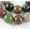 Natural Indian Agate Beads Strands GSR14mmC002-1