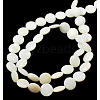 Natural Shell Beads Strands PBB-XXBK029Y-13-2