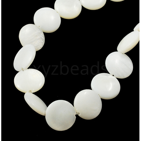 Natural Shell Beads Strands PBB-XXBK024Y-13-1