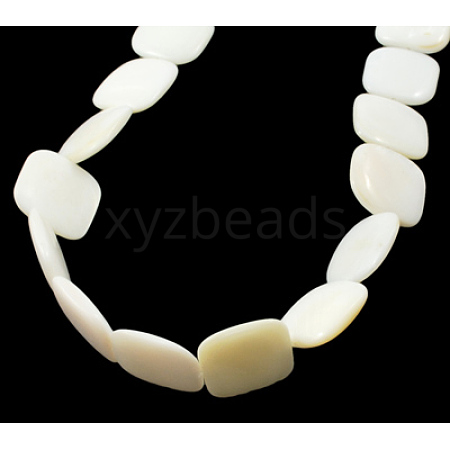 Natural Shell Beads Strands PBB-XXBK034Y-13-1