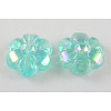 Transparent Acrylic Beads PL538-25-1