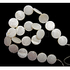 Natural Freshwater Shell Beads S00C20A2-2