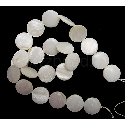 Natural Freshwater Shell Beads S00C20A2-1