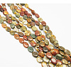 Natural Picasso Stone/Picasso Jasper Beads Strands TURQ-H035-18-1