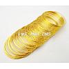 Memory Wire TWIR-H022-G-1