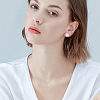 16Pcs 2 Colors Flat Round 304 Stainless Steel Barbell Cartilage Earrings EJEW-BBC0001-63-5