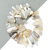 Natural Grey Agate Beads Strands G-G117-C06-01-2
