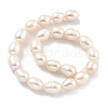 Natural Cultured Freshwater Pearl Beads Strands PEAR-P062-18-3