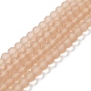 Transparent Glass Beads Strands LS-EGLA-A034-T6mm-MD20-1