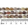 Natural Botswana Agate Beads Strands G-H004-B02-01-5