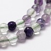 Natural Fluorite Bead Strands LS-G-D840-56-4mm-AB-3