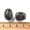 Natural Larvikite European Beads LS-G-F580-A11-01-3