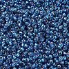 MIYUKI Round Rocailles Beads X-SEED-G007-RR1025-3