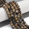 Natural Black Moonstone Beads Strands G-Q183-A01-01-2