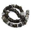 Natural Labradorite Beads Strands G-T141-09-3