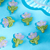 12Pcs Handmade Lampwork Beads LAMP-PA0001-03B-7