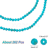  2 Strands Imported Natural Turquoise Beads Strands G-NB0004-17-2