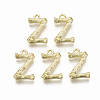 Alloy Pendants PALLOY-S137-001Z-NR-2