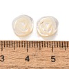 Natural White Shell Beads BSHE-Z008-04-4