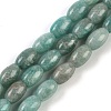 Natural Amazonite Beads Strands G-M420-J02-01-1