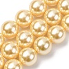 Electroplated Shell Pearl Beads Strands BSHE-G041-12mm-01-1