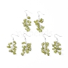 Dangle Earrings EJEW-E255-A11-2