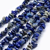 Natural Lapis Lazuli Beads Strands X-G-P332-12-1