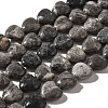 Natural Map Stone Beads Strands G-R190-10mm-64-2