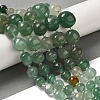 Natural Green Strawberry Quartz Beads Strands G-Q169-E06-01A-2