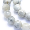 Natural Grey Moonstone Beads Strands G-I279-C01-10mm-3