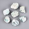 Natural Chrysocolla Geode Cornucopia Mineral Specimen G-N347-13H-2