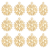 12Pcs Brass Pendants KK-UN0005-08-1