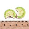 Opaque Resin Imitation Food Decoden Cabochons CRES-I032-02C-3