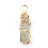 Natural Labradorite Pendants PALLOY-JF01581-01-2