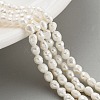 Natural Cultured Freshwater Pearl Beads Strands PEAR-P062-01A-2