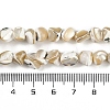 Natural Trochus Shell Beads Strands BSHE-H109-10-5