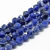 Natural Sodalite Beads Strands G-R448-8mm-09-1