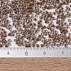 MIYUKI Delica Beads SEED-X0054-DB1732-4