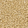 MIYUKI Delica Beads X-SEED-J020-DB1571-3