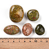 Natural Unakite No Hole Beads G-S218-08-01-3